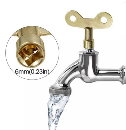 2x Iron Faucet Keys for 6mm Square Socket Valve Tap Bleeding Lock | FPC